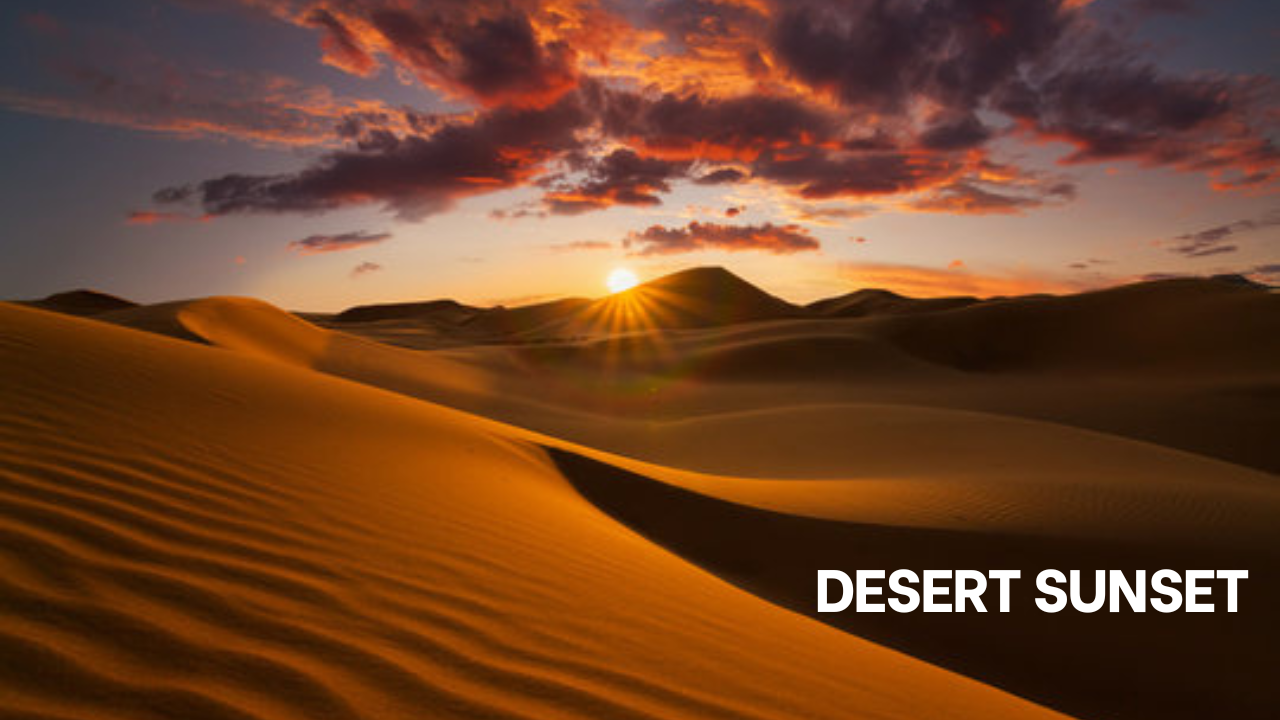 Winter in India: A Season of Subtle Beauty​