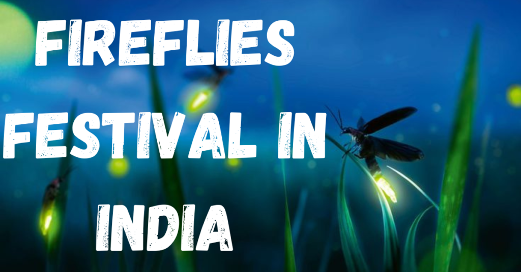 Fireflies Festival in India: Nature's Magical Light Show