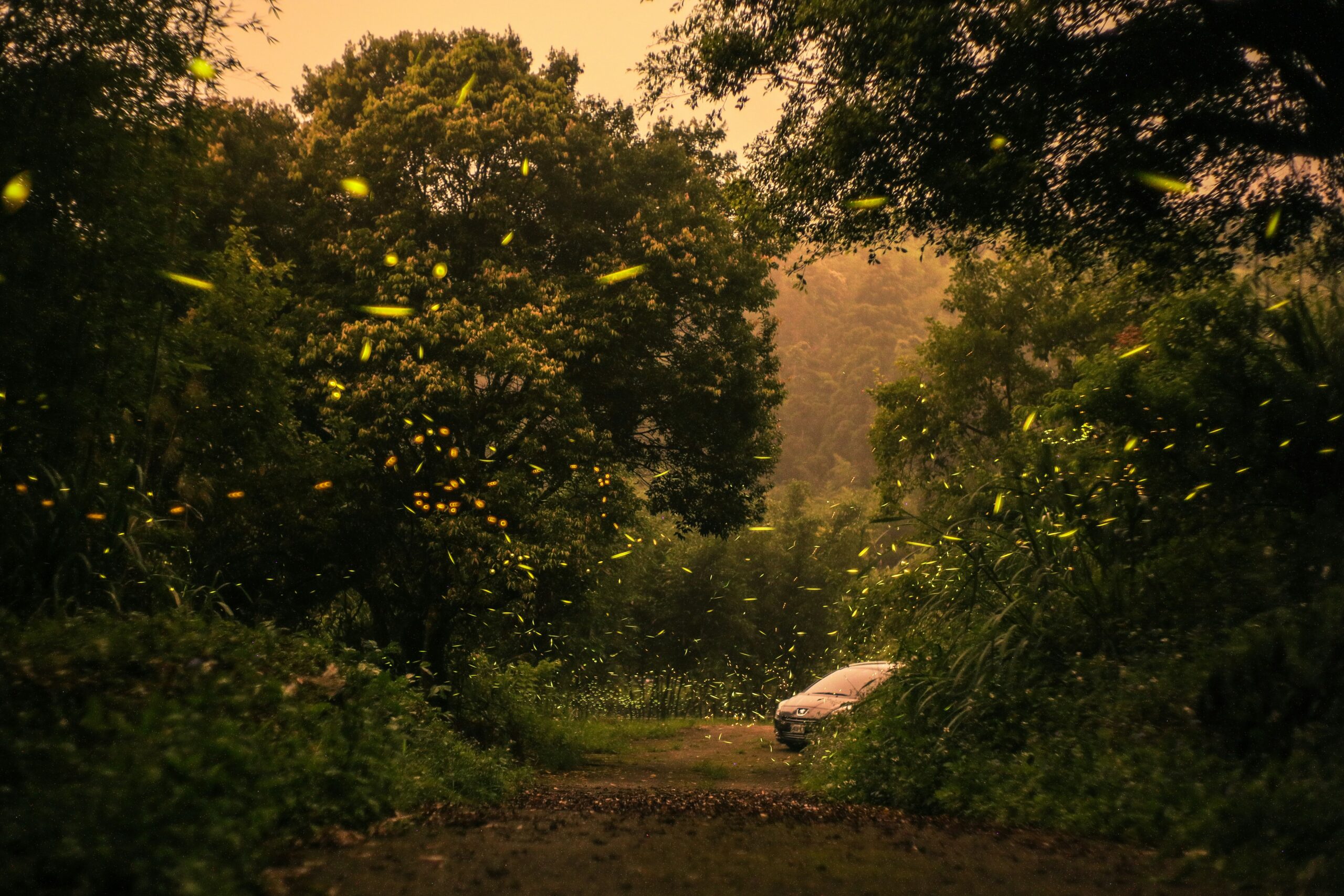 Thenmala